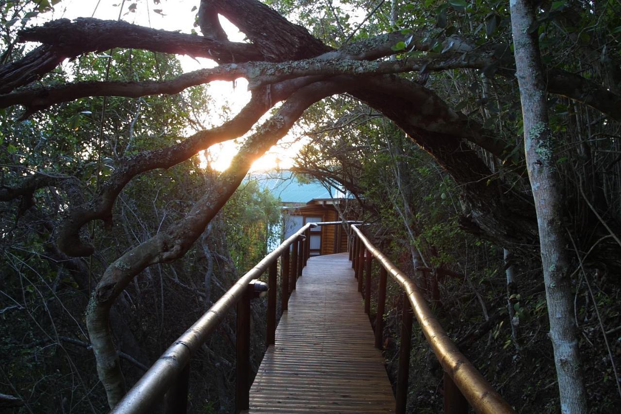 Boardwalk Lodge - Self-Catering Wildernis Exterior foto